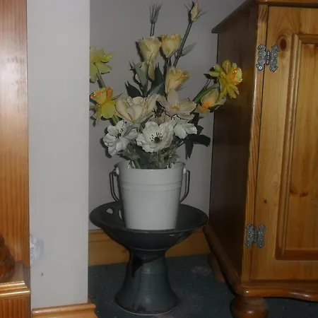 Bed and breakfast Glen House Only Youghal