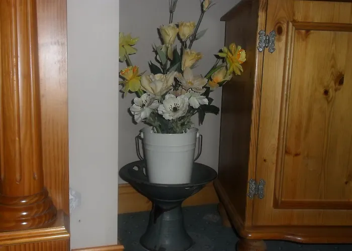 Bed & Breakfast Glen House Only Youghal