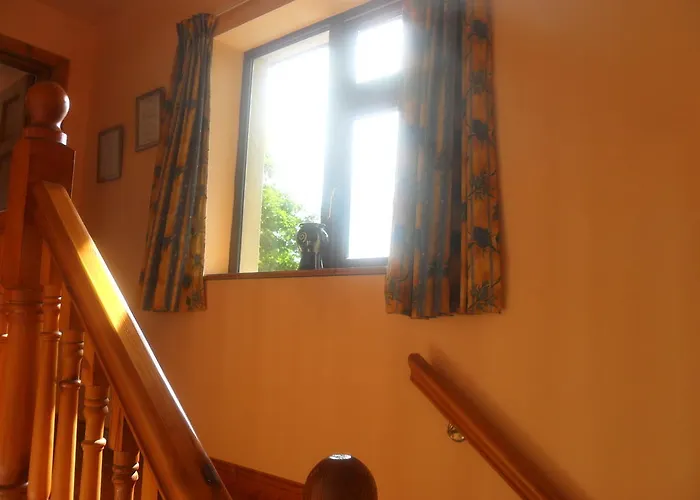 Glen House Only Youghal